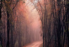 PG模拟器官网：[图]拜仁1-3遭逆转 先赛领先1分末轮决战定冠军.