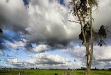 2025斯巴达勇士赛深圳站暨中国系列赛首站落幕3-23 17：34.