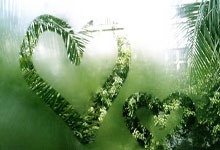 头号种子兹维列夫1-2遭菲斯逆转，无缘迈阿密大师赛八强.