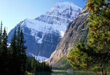 明日开跑！君乐宝2025石家庄马拉松赛7：30鸣枪起跑！.