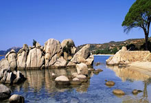 CBA：山西上演25分“大逆转”战胜新疆中国新闻网.